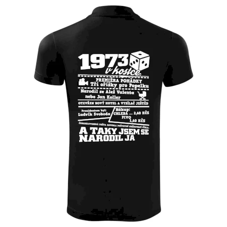 1973 v kostce