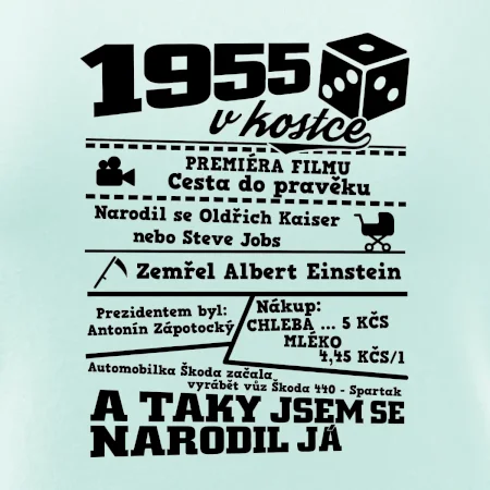 1955 v kostce