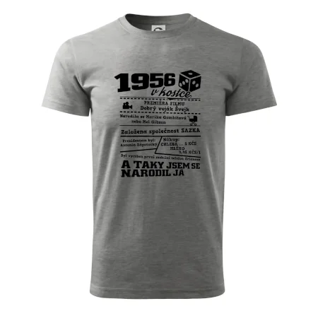 1956 v kostce