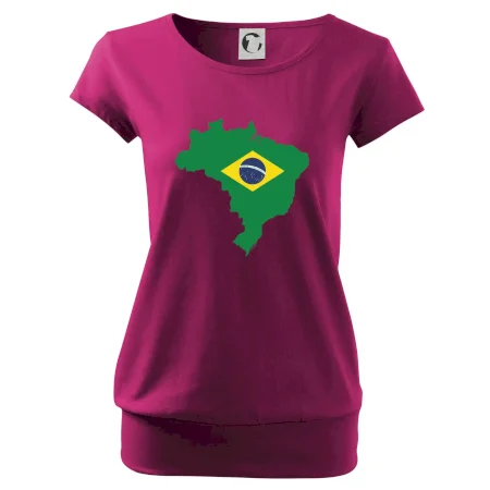 Brazílie vlajka v mapě