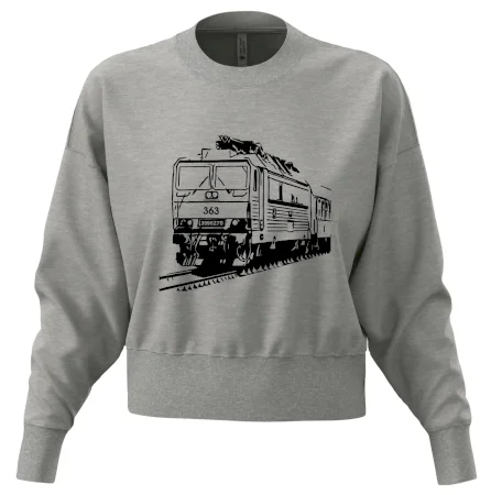 Vlak 363
