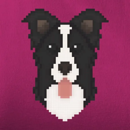 Border kolie Pixel