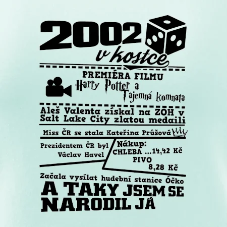 2002 v kostce