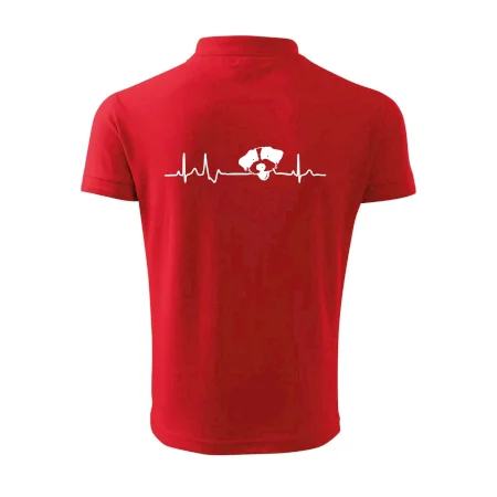 Jack Russell Terriér hrubosrstý Ekg
