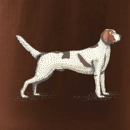 Vintage Setter