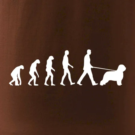 Evoluce pes Briard