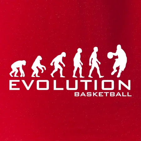 Evoluce Basketball