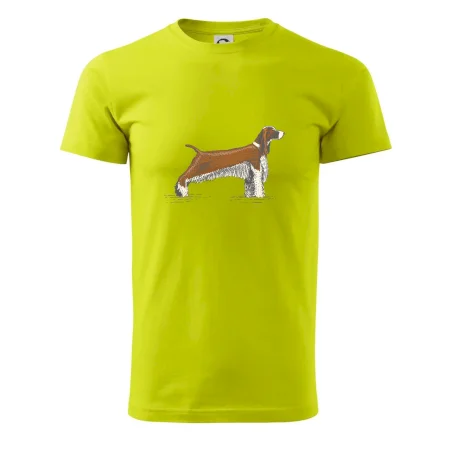 Vintage Springer spaniel