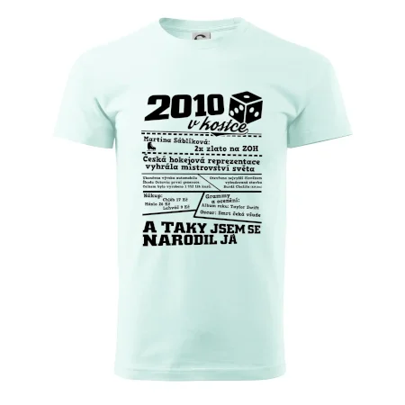 2010 v kostce