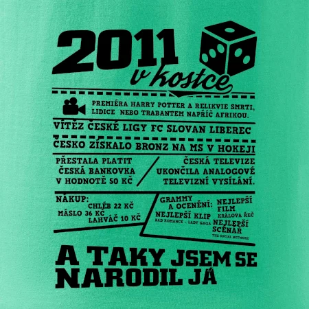 2011 v kostce