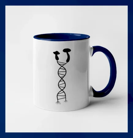 DNA houby