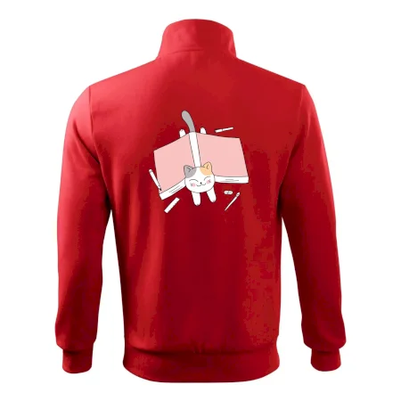 Učení na státnice kočka