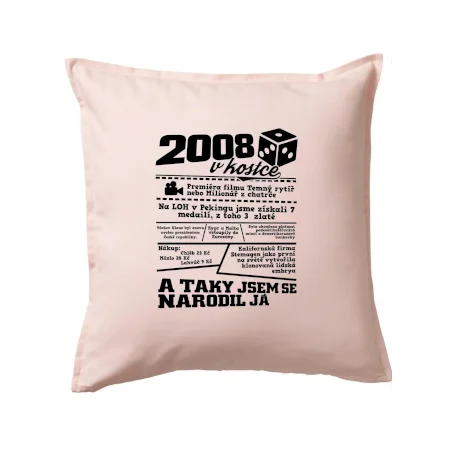 2008 v kostce