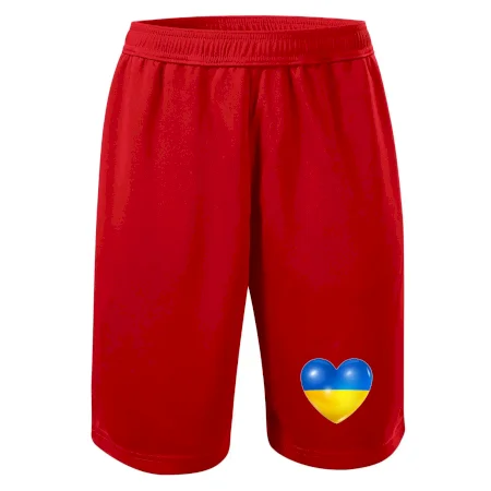 Ukrajina srdce vlajka