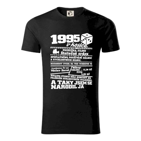 1995 v kostce