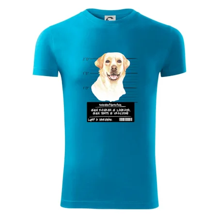 Lump a darebák labrador