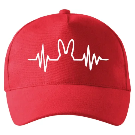 EKG zajíc