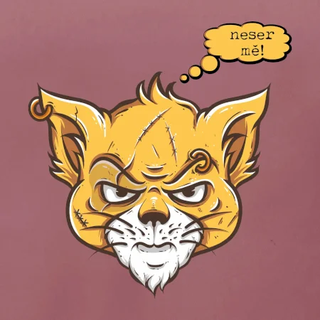 Kočka 