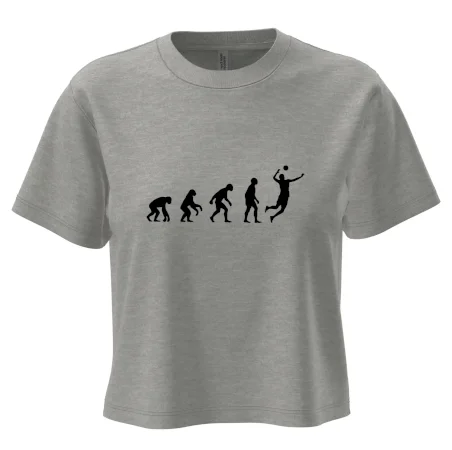 Evoluce volejbal smeč