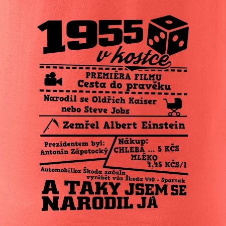 1955 v kostce