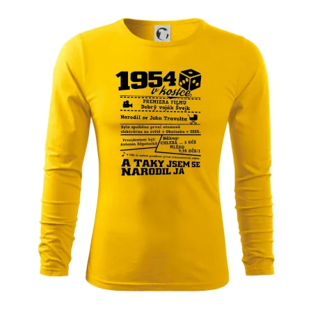 1954 v kostce