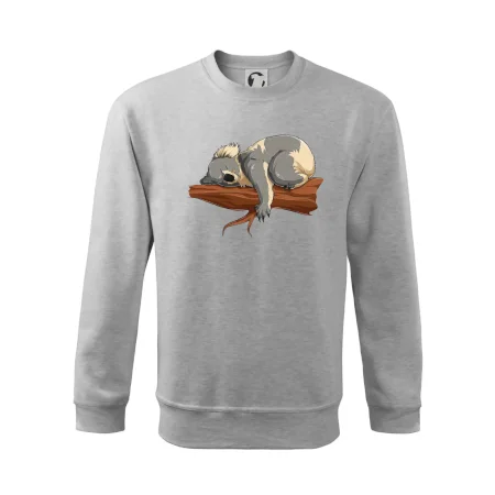 Koala na větvi