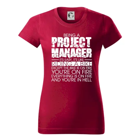 Being A Project Manager - bike