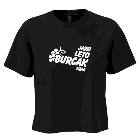 Jaro, léto, burčák, zima