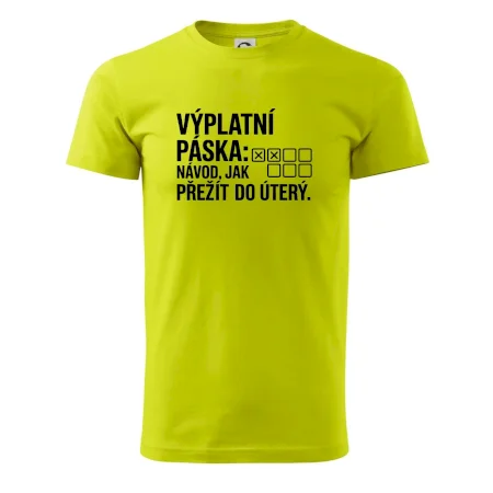 VÝPLATNÍ PÁSKA: Návod, jak přežít do úterý