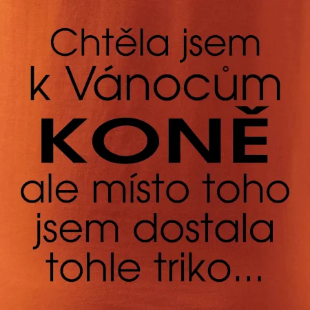 Chtěla jsem k Vánocům koně