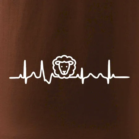 Ekg ovce
