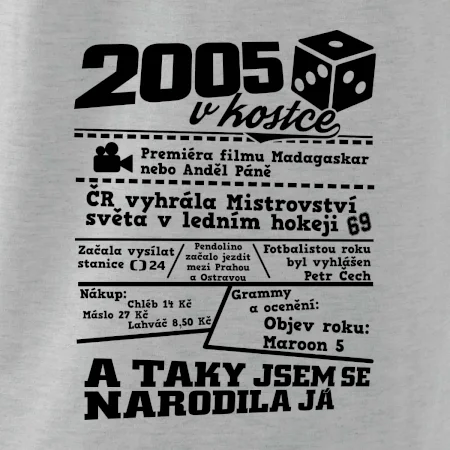 2005 v kostce