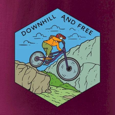 Downhill and free holka