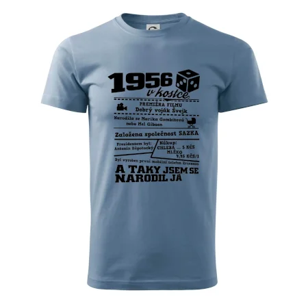 1956 v kostce
