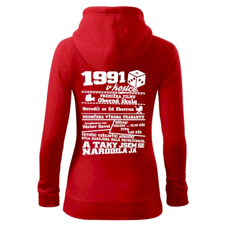 1991 v kostce