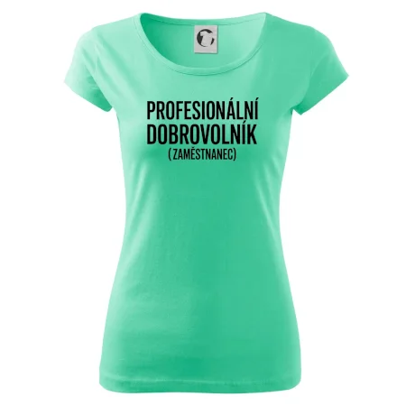 PROFESIONÁLNÍ DOBROVOLNÍK (zaměstnanec)