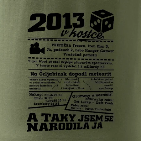 2013 v kostce