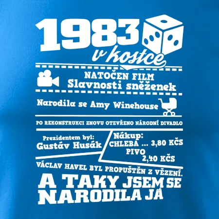 1983 v kostce