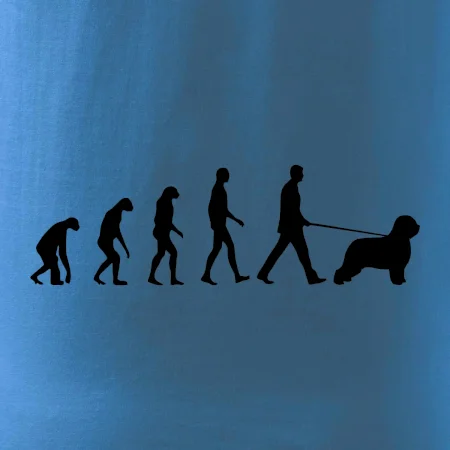 Evoluce pes Briard