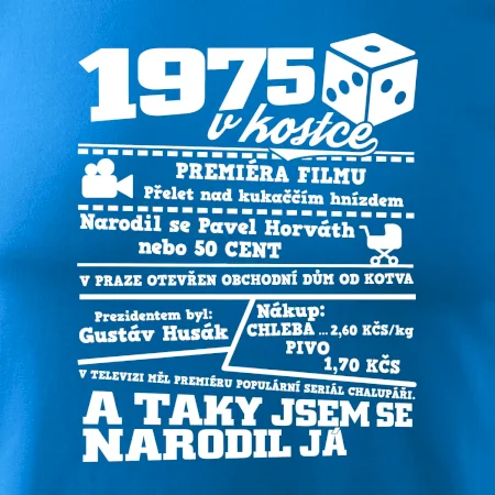 1975 v kostce