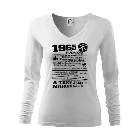 1965 v kostce