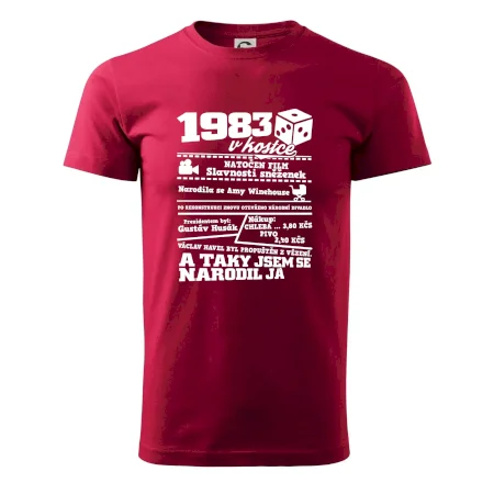 1983 v kostce