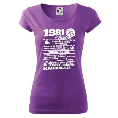 1981 v kostce