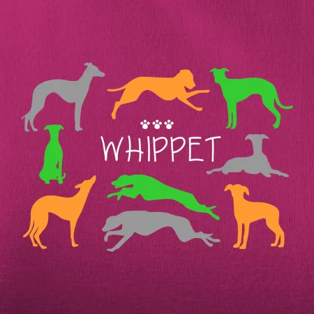 Whippet barevný