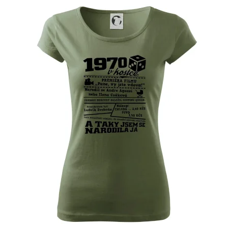 1970 v kostce