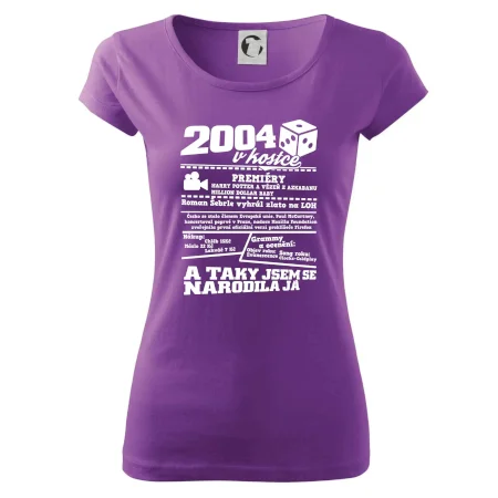 2004 v kostce