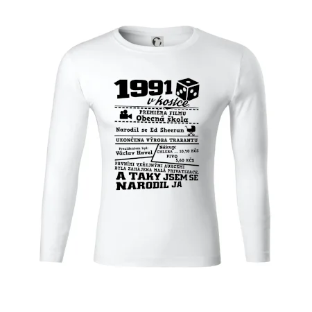 1991 v kostce