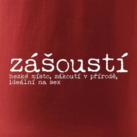 Čeština 2.0 - zášoustí