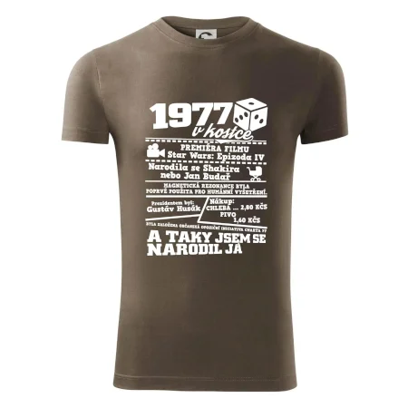 1977 v kostce