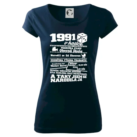 1991 v kostce